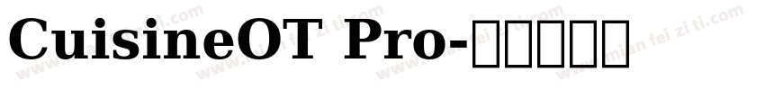 CuisineOT Pro字体转换